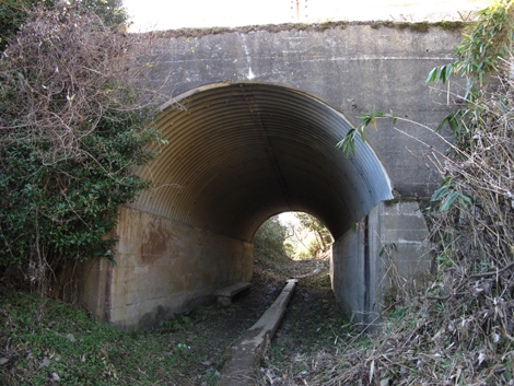 20131223hike (330)